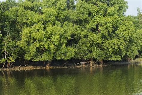 The Mosque City of Bagerhat in Bangladesh is a treasure trove | Times ...