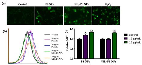 Amino-Functionalized Polystyrene Nano-Plastics Induce Mitochondria ...