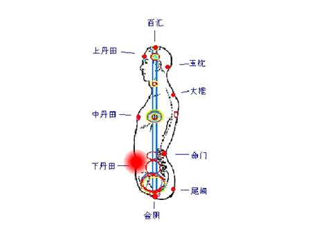 [转载]打坐开任督二脉的原理（转载）_檀香四逸_新浪博客