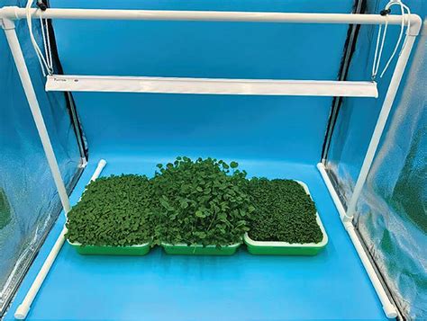 PVC Grow Light Stand 的图像结果