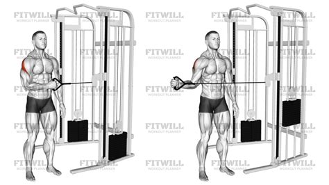 Cable Standing Shoulder External Rotation: Exercise Guide, Video ...