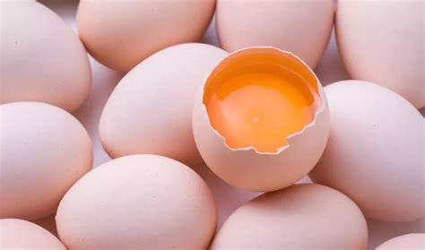 5种最好吃的鸡蛋做法，1分钟学会，孩子超爱吃！ - 知乎