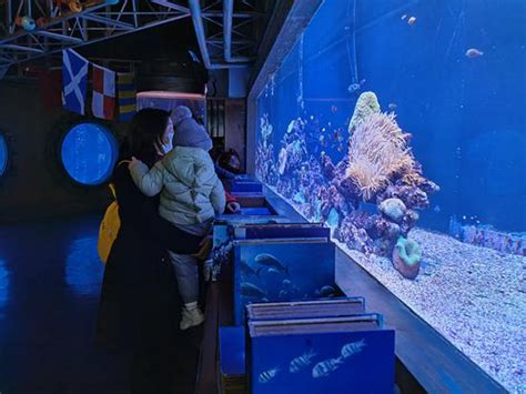 哈尔滨极地馆：中国首家以极地动物娱乐表演为主题的极地馆
