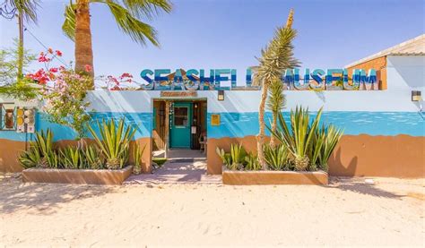 SEASHELL MUSEUM (2026) All You Need to Know BEFORE You Go (with Photos ...