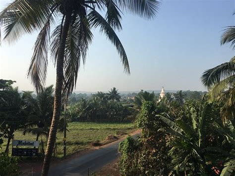 HOTEL MARTINS SIESTA (Parra) - Hotel Reviews, Photos, Rate Comparison ...