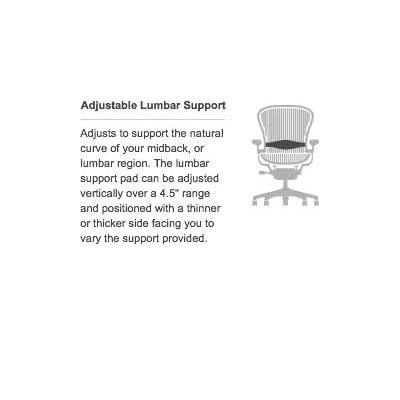Herman Miller Aeron Chair Highly Adjustable with | Ubuy India