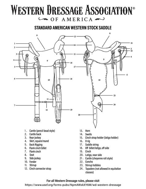 Western Saddle Parts Diagram and Overview
