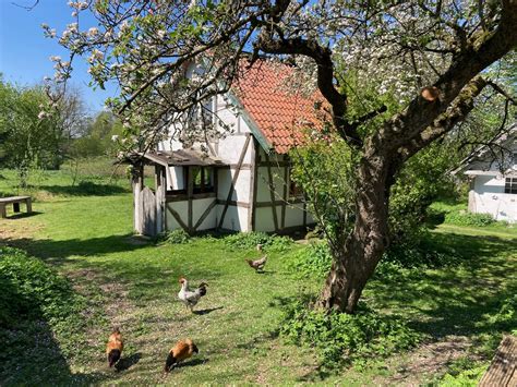 Germany Places To Stay | Homes and More | Airbnb