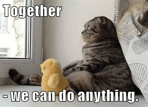 Image result for Missed Java Com