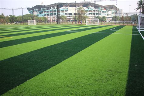 ALBERTIAN SPORTS CAMPUS – Albertian Institute Of Management