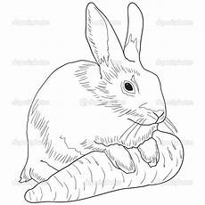 hasen malvorlagen lirik ausmalbilder hasen kinder malvorlagen club hasen malvorlagen lirik ausmalbilder hasen kinder malvorlagen club