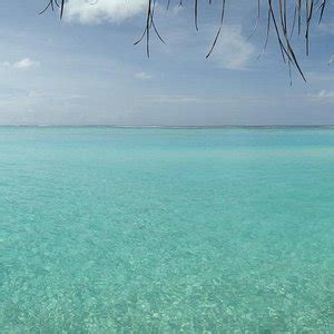 RENOVA SPA, RIU PALACE MALDIVAS (2025) All You Need to Know BEFORE You ...