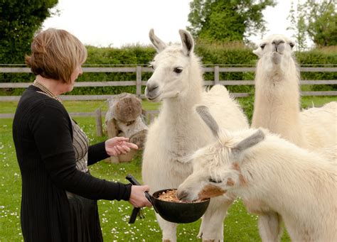 Crossroads Farm — Wilds Lodge