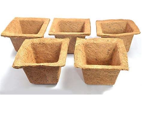 COIR GARDEN Coir Seedling Tray Coco Pot - (16(topdia) x 14(bottomdia) x ...