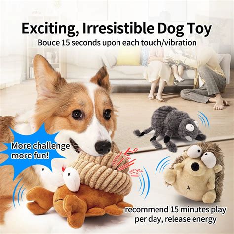 https://www.pawtique.co/cdn/shop/files/interactive-toy-plush-dancing-ball-418112.webp?v=1731833894&width=1000