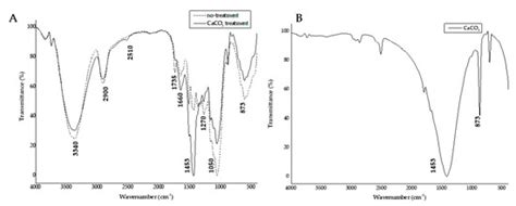 A Novel Method for Calcium Carbonate Deposition in Wood That Increases ...