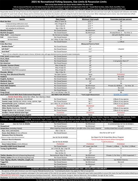 2025 NJ Saltwater Fishing Regulations, Seasons, Size & Bag Limit Laws ...