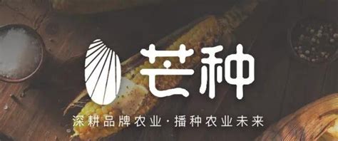 我国食用菌生产现状与品牌建设 _云南省食用菌协会