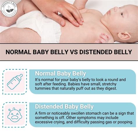 Causes and Solutions for a Bloated Newborn Stomach: Tips for Parents