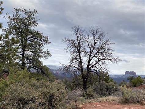 Red Rock Loop Road: A Scenic Drive Through Sedona's Soul - Mystical ...