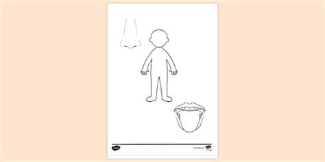 Body Parts Colouring Page For Toddlers - Colouring