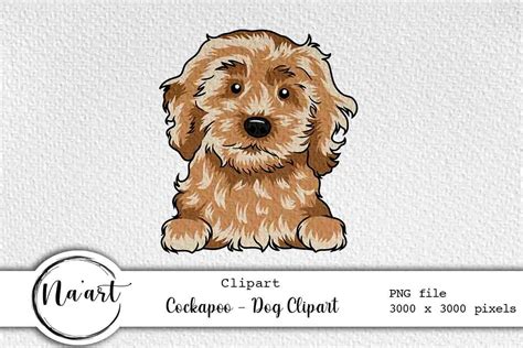 Image result for Cockapoo ClipArt