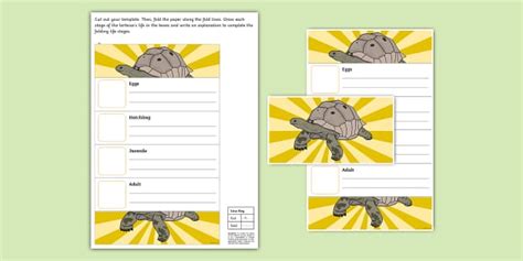 Tortoise Folding Life Stages Template