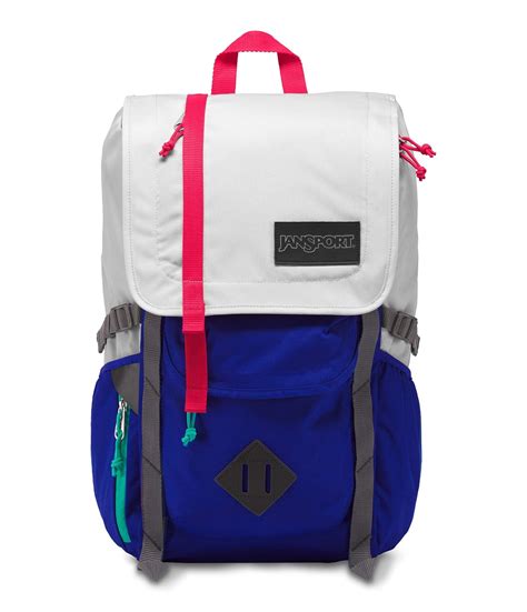 Buy JanSport Hatchet 28 Ltrs Laptop Backpack (Goose Grey/Regal Blue) at ...