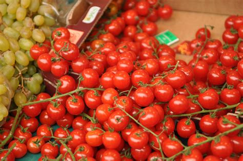 Teamwork Tuckman Model 的图像结果