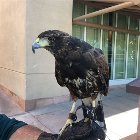 Image result for Pdisk App