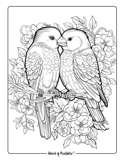 Bird Coloring Pages - World of Printables