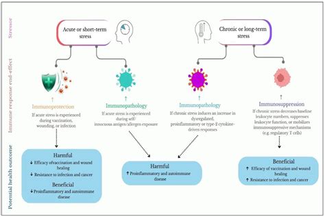 Immunology of Stress: A Review Article