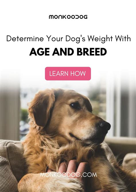 Determine your dog s weight with age and breed – Artofit