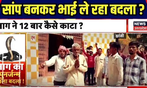 पुनर्जन्म की चौंकाने वाली कहानी, सांप बनकर बार-बार शख्स को डंस रहा उसका ...