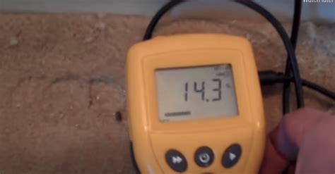 How to use a moisture meter properly - BT Preservation | Damp ...