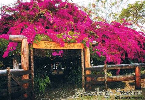 WOODLEIGH STATION (Ravenshoe) - Campground Reviews & Photos - Tripadvisor