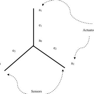 Tree Network 的图像结果