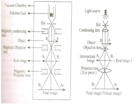 Electron Microscope Principle 的图像结果