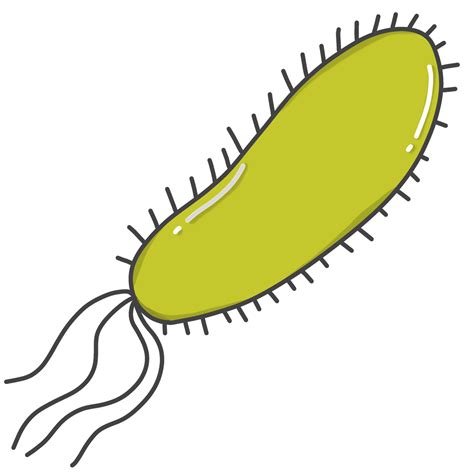 ilustración de bacterias llamado mi. coli. 35638986 PNG