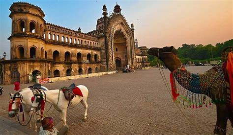 Lucknavi Local People 的图像结果