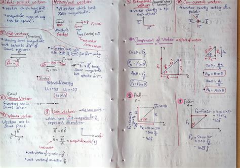 Image result for NEET Vector Problems