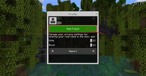 Image result for How to Add a Friend On Minecraft Java PC