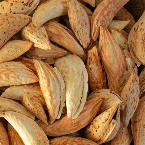 Afghan Logari Mamra Almond (White) – Nut Bazar