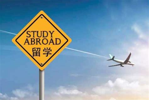 留学大数据来了！2020中国留学白皮书最新解读 - 知乎