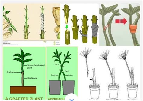 describe with suitable diagrams any three artificial methods of ...
