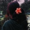 write short note on chipko movement. class 10 cbse - Brainly.in
