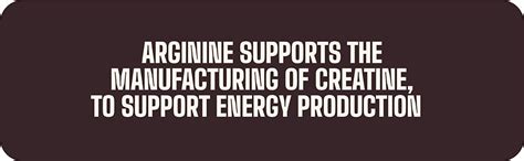 Boldfit L-Arginine Supplement 1000mg with Nitric Oxide Arginine ...