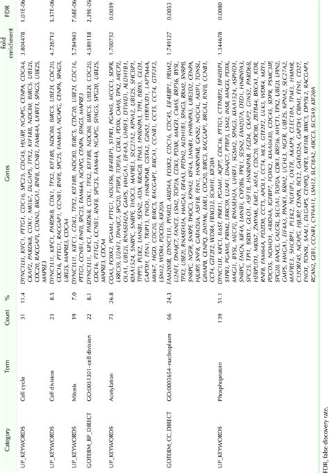 Image result for David Database Tutorial