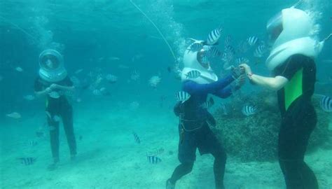 Pereybere Offers Unforgettable Beach Parties That Are Truly Iconic