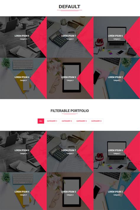 Image result for Divi Portfolio Module